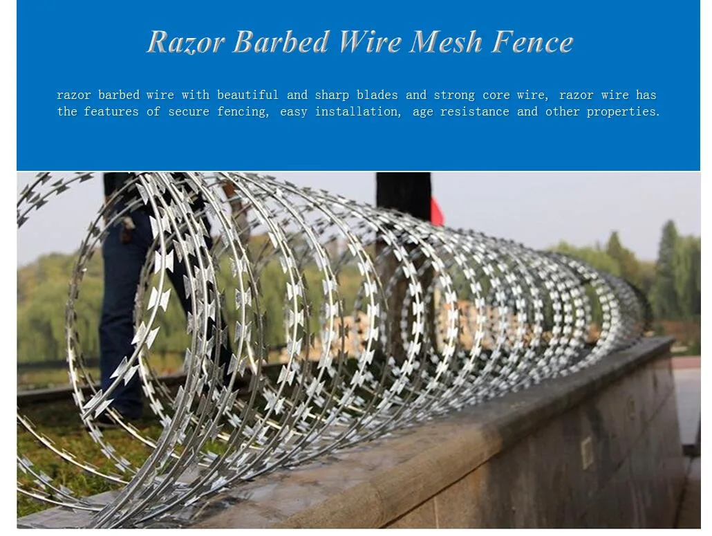 Factory Price Bto-22 Stailess Steel Galvanized Razor Wire Coils Concertina Barbed Wire for Security Application