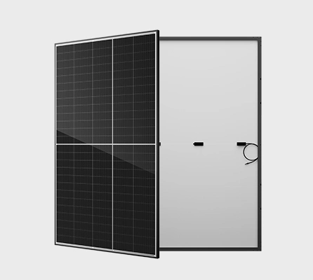 Risen Black Frame Bifacial Solar Panel 430W 435W 440W 445W 450W PV Modules