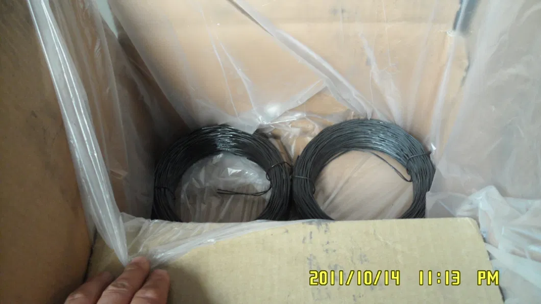 Iron Wire Building Tie Wire for Oman Bwg 20 1kg Small Coils