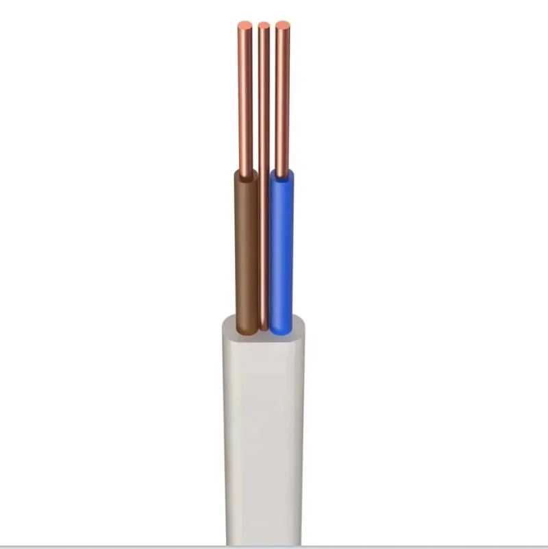 PVC Solid Copper House Wiring Electrical Cable Twin and Earth Flat Cable