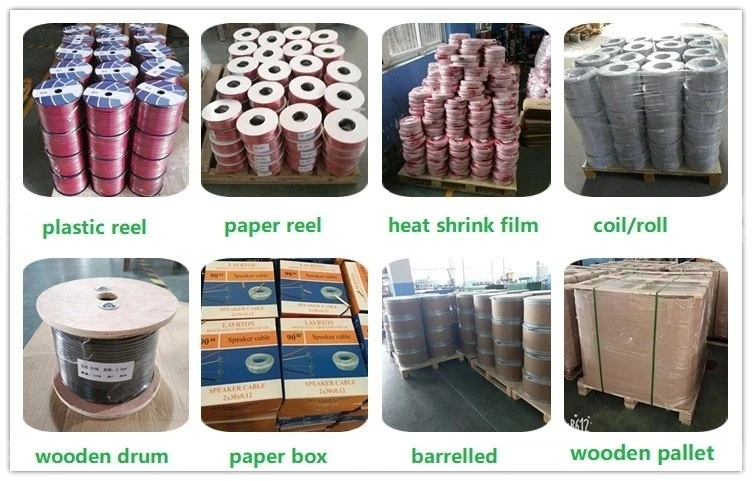 China Hot 1.5mm2 2.5mm2 4mm2 6mm2 10mm2 Single Core Copper PVC House Wiring Electrical Cable and Wire Building Wire