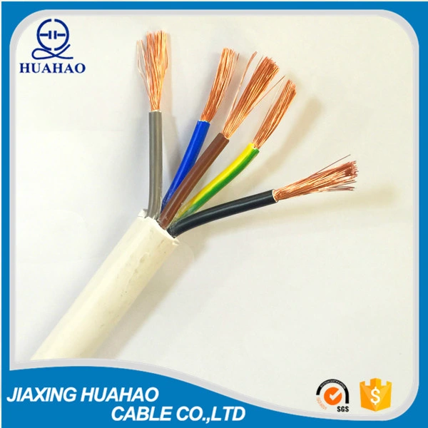 2, 3, 4, 5core H05VV-F Rvv Cable with SGS Approved