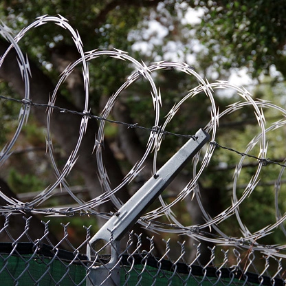 Hot Dipped Galvanized 900mm Bto-22 Concertina Razor Barbed Wire