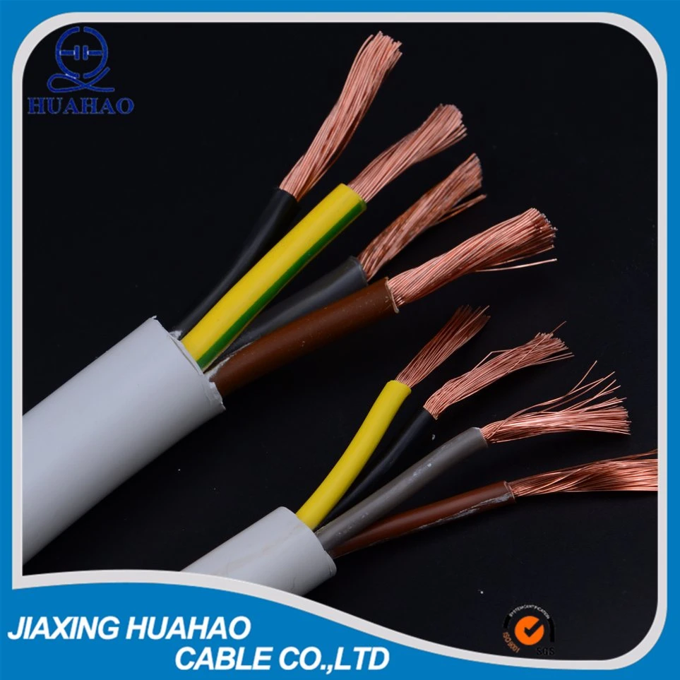 2, 3, 4, 5core H05VV-F Rvv Cable with SGS Approved