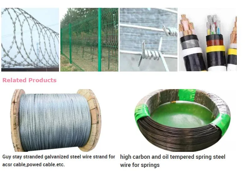 Oman Binding Wire/Gi Wire 21gauge/Galvanized Wire Price Per Ton