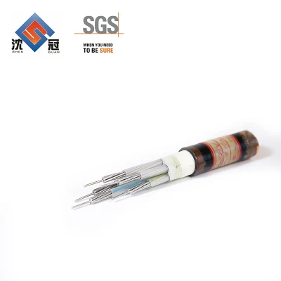 Cavo Mc standard UL1569 Shenguan 12/2 AWG rivestito in metallo Cavo di controllo cavo elettrico di alimentazione in rame Armor