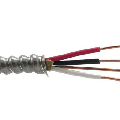  Approvazione cUL per cavo Canada AC90 da 600 V 12/2AWG