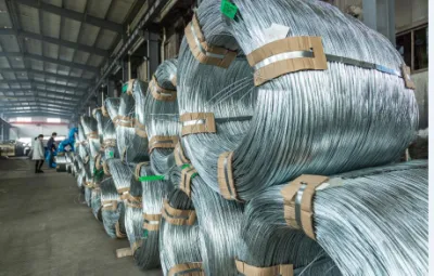 Filo in acciaio zincato ad alto tenore di carbonio da 2.5 mm per recinzione elettrica Condotto flessibile in acciaio per molle
