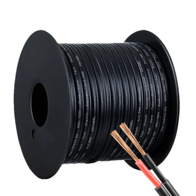 Cavo fotovoltaico a doppio nucleo in rame stagnato Xlpo isolato/guaina TUV Solar Cavo elettrico a due conduttori PV da 2.5 mm2 4 mm2 6 mm2 Cavi CC cavo solare