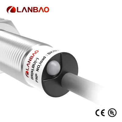 Sensore induttivo IP67 Lr12xbf02dpc Flush PNP NPN No o NC Cavo da 2 m.