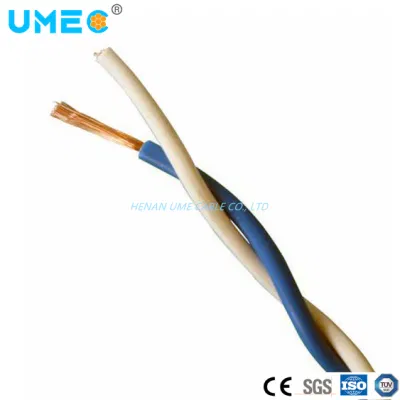 Cina Commercio all&prime;ingrosso 2 nuclei 0.5 1.5 2,5mm ignifugo intrecciato Cavo elettrico a conduttore singolo in rame RVS