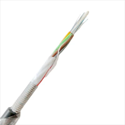 Tubo sfusa intrecciato condotto antenna in nastro in acciaio FRP non metallico Cavo ottico