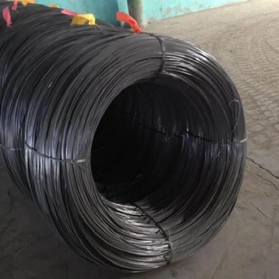 Filo di acciaio ad alto tenore di carbonio/filo di acciaio per molle/filo di acciaio zincato/molla in acciaio inox Filo /filo di acciaio/filo PC