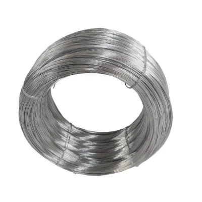 Filo di ferro zincato 1,2mm per Kuwait