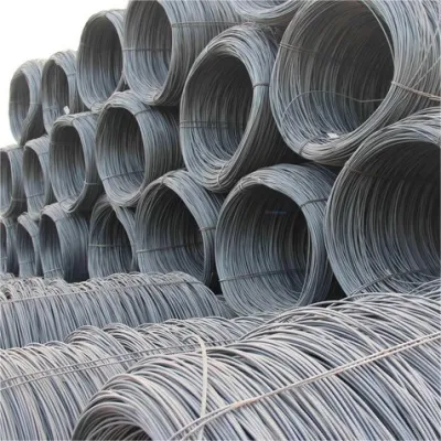 Molla da 5,5mm SAE1008b SAE1006 S45C 10 n. 1010 Q235 Q195 77b 82b SWRM Stkm11A acciaio a basso tenore di carbonio zincato a caldo Chiodo filo barra in bobine