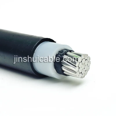 Cavo antenna da 120 Volt per caduta di servizio duplex, standard americano
