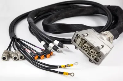  Contenitore e terminali Molex personalizzati cavo del cablaggio del connettore elettrico Assemblaggio per macchine da gioco