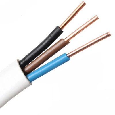 Cavo a 3 conduttori approvato SAA 1.5mm 2.5mm 6mm V-90 PVC Cavo piatto TPS isolato doppio e di terra filo elettrico