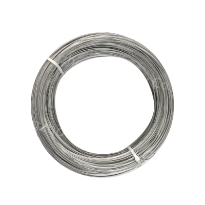 Elemento riscaldante Nichrome 80 Ni80cr20 Electrical non magnetico da 1 mm 2 mm Filo di resistenza