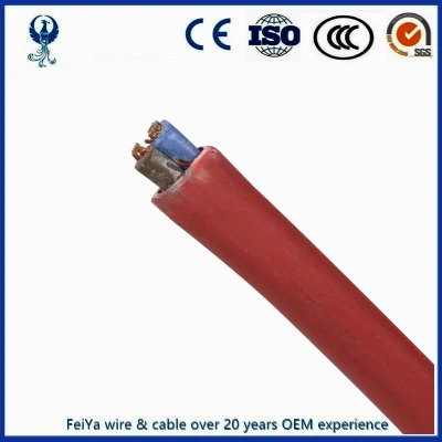 2.5 Twin e Earth Thermoplastic Sheathed Building SAA Electric Flat Cavo TPS