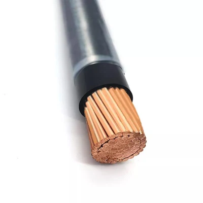 Cavo THHN/Thwn/Thw/Tw 12/2 14/2 10/2 8/2 6/2 BV Thw Estandard 8 12 10 filo elettrico 14 AWG con elencato