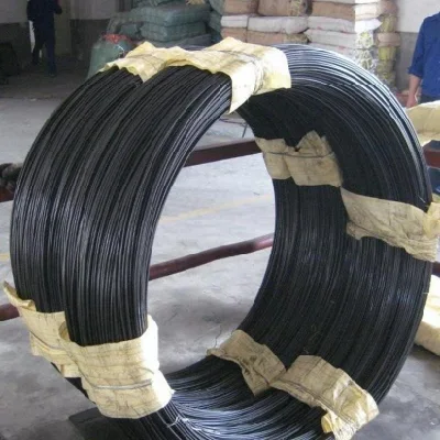 Filo di acciaio ad alto tenore di carbonio/filo di acciaio per molle/filo di acciaio zincato/molla in acciaio inox Filo /filo di acciaio/filo PC