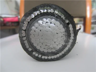 600/1000V, cavo di alimentazione, a conduttore singolo, isolato XLPE, Awa, 1X630 mm2, cavo in alluminio trifase, prezzo per metro
