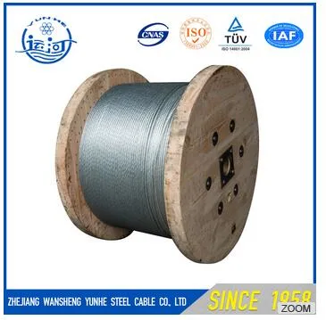 Filo in acciaio zincato ad alto tenore di carbonio da 2.5 mm per recinzione elettrica Condotto flessibile in acciaio per molle