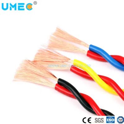 Cina Commercio all&prime;ingrosso 2 nuclei 0.5 1.5 2,5mm ignifugo intrecciato Cavo elettrico a conduttore singolo in rame RVS