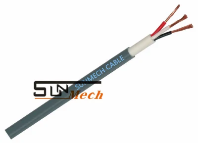 Filo elettrico in rame 2X2,5 mm 2X1,5 mm con terra BS6004 Twin Flat Cavo