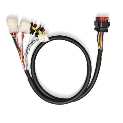 Contenitore e terminali Molex personalizzati cavo del cablaggio del connettore elettrico Assemblaggio per macchine da gioco