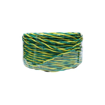 300/500V 450/750V RVS 4 6 10 mm PVC 2 nuclei Cavo a doppino intrecciato