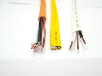 CUL 14AWG-2AWG 12AWG-2AWG 12/2 10/3 Canadian 8/3 Nmd90 con cavo Prezzo conveniente
