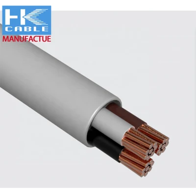 Cavi elettrici in rame smaltato in PVC BV RVV da 2,5 mm Cavi trifase Cobre da 2.5 10 mm, 2, 5 mm2