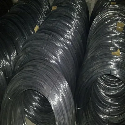 Filo di acciaio ad alto tenore di carbonio/filo di acciaio per molle/filo di acciaio zincato/molla in acciaio inox Filo /filo di acciaio/filo PC