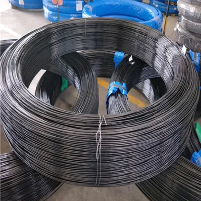 Filo di acciaio ad alto tenore di carbonio/filo di acciaio per molle/filo di acciaio zincato/molla in acciaio inox Filo /filo di acciaio/filo PC