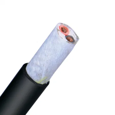 Cavo flessibile cavo Royal multiconduttore RVV 2 3 4 5 nuclei 0.75 1 1.5 2.5 4 6 mm elettrici Cavo di alimentazione