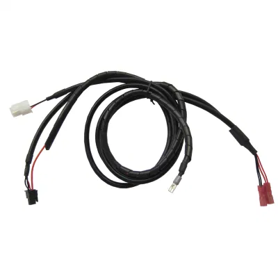 Contenitore e terminali Molex personalizzati cavo del cablaggio del connettore elettrico Assemblaggio per macchine da gioco