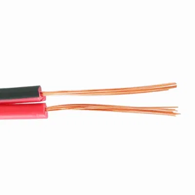 Filo elettronico a 2 conduttori RVB con filo parallelo rosso e nero Potenza di monitoraggio degli altoparlanti con nucleo in rame puro da 0.75 /1 /2.5 quadrato Cavo
