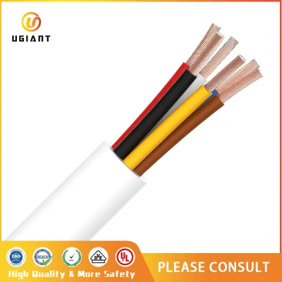 Fili elettrici in rame multi-core da 300 V per uso automobilistico standard giapponese Cavi cavi cavi elettrici cavi prezzi