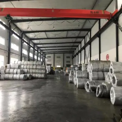 Bwg6-Bwg24 buon prezzo e ottima qualità filo acciaio zincato/legante zincato Filo/acciaio filo di ferro/filo galvanizzato elettronico/filo zincato a caldo