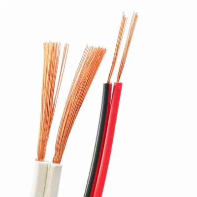 Filo elettronico a 2 conduttori RVB con filo parallelo rosso e nero Potenza di monitoraggio degli altoparlanti con nucleo in rame puro da 0.75 /1 /2.5 quadrato Cavo