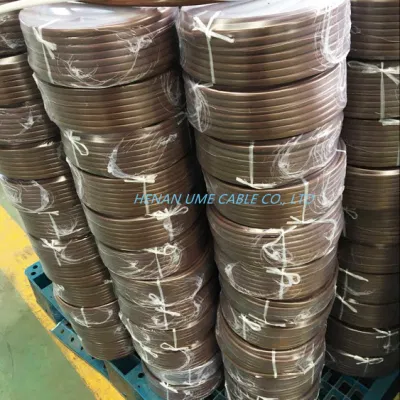 Filo THHN 14 12 10 per campione libero UL1316 8 Cavo in nylon elettrico con conduttore in rame AWG