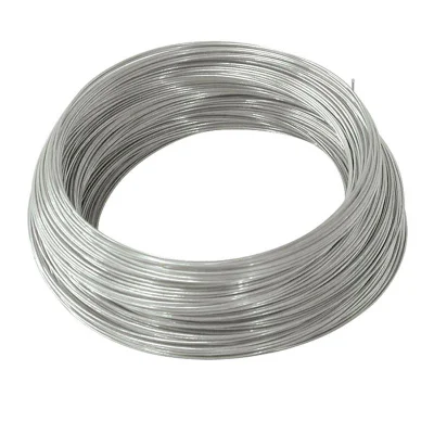 MS asta in acciaio SAE 1008 /1006 0,3 mm 6,5 mm ASTM Filo in acciaio zincato a caldo misura 14 per la produzione di edifici Imballaggio