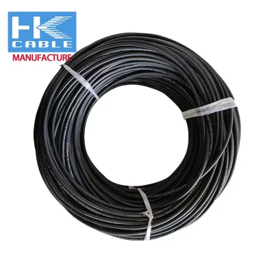 Filo di rame a conduttore singolo UL 1569 gancio in PVC 20 Cavo in rame AWG 12 AWG 10 AWG 300 V PVC Isolamento cavi elettrici Prezzi cavi elettrici