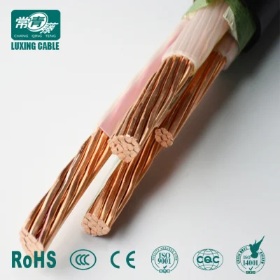 Cavo elettrico in rame da 2.5 mm a 2 conduttori in PVC di alta qualità Cavo di alimentazione