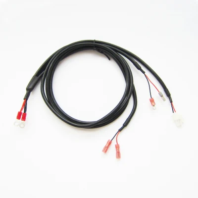 Contenitore e terminali Molex personalizzati cavo del cablaggio del connettore elettrico Assemblaggio per macchine da gioco