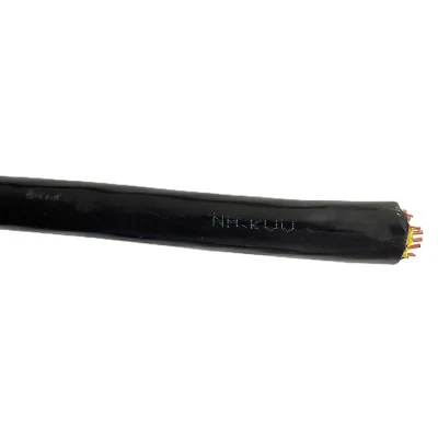 Cavo di comando 450/750V cavo elettrico 2.5/1.0/1.5/0.75/4/6/10mm cavo in rame a 2 conduttori - 61core (personalizzabile)
