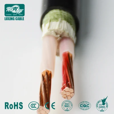 Cavo elettrico in rame da 2.5 mm a 2 conduttori in PVC di alta qualità Cavo di alimentazione
