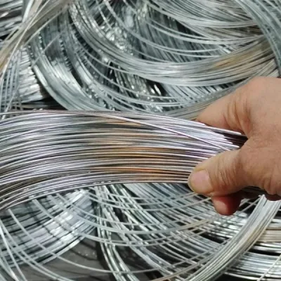 Cavi di controllo di alta qualità acciaio inox filo acciaio zincato a fune Filo 1*19 7*7 filo interno cavo freno CD70 con pressofusione